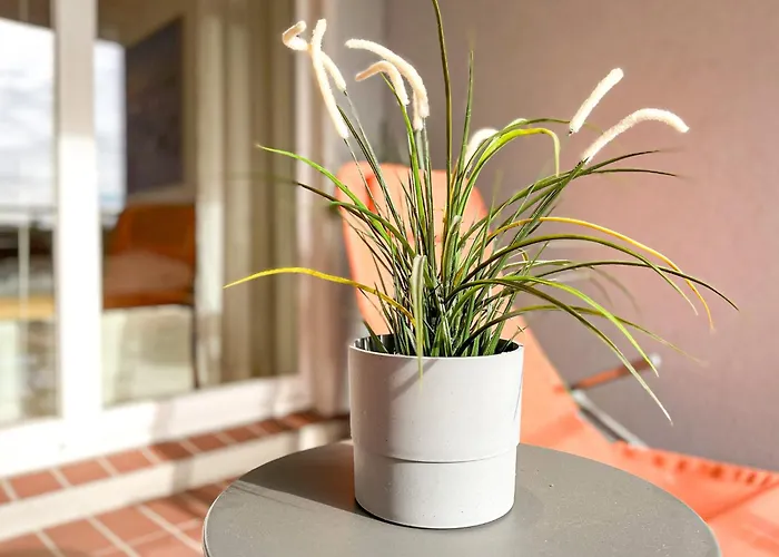 Lejlighed Likedeeler 43